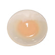 Hagiyaki_plate_002