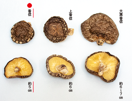 Dried shiitake 