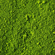 IMA Matcha Everyday (Kraft packaging)