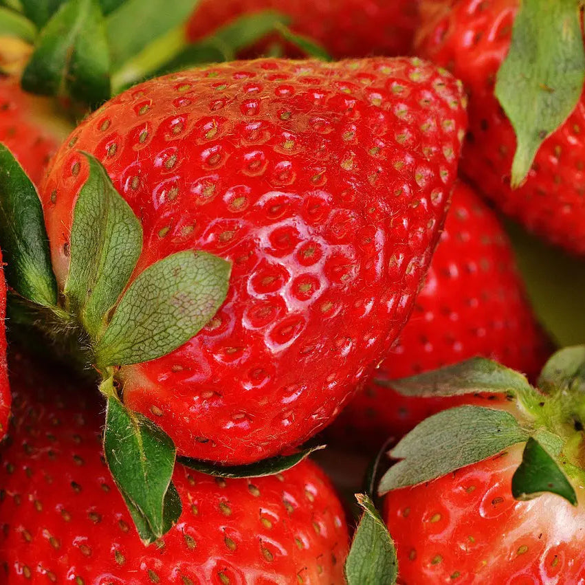 Nishibori Strawberry 200 ml